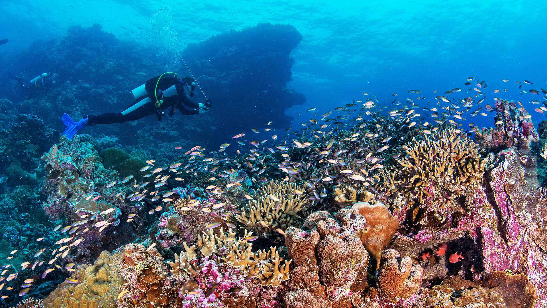 diving safari seychelles