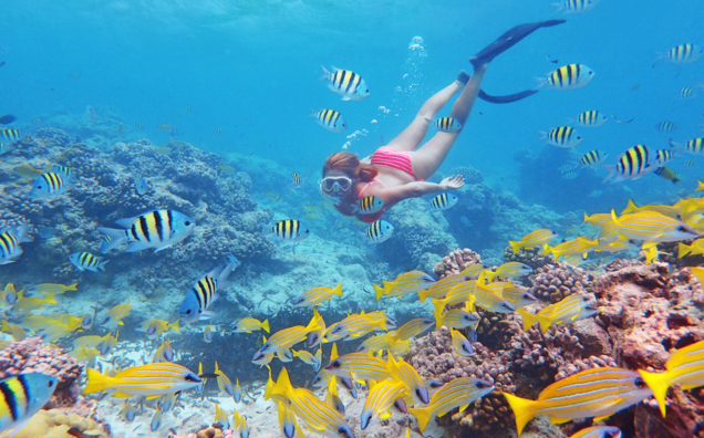 seychelles eco tourism